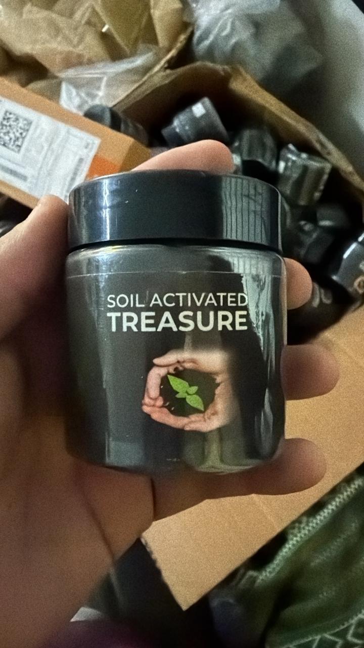 17293